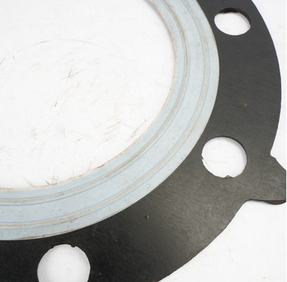 EPDM Rubber Flange Gasket Alkali Resistance for Pharmaceutical Factory