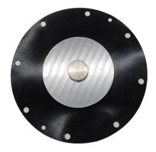3/4 `` SBFEC غشاء صمام جيت نابض DMF-Z-20 DMF-ZM-20