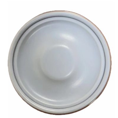 غشاء مركب PTFE EPDM لمضخة قياس Aquasystem