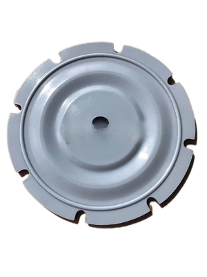 PTFE EPDM FKM مضخة قياس الحجاب الحاجز الختم الحاجز الحاجز الحاجز الحاجز الحاجز الحاجز الحاجز الحاجز الحاجز الحاجز الحاجز الحاجز الحاجز الحاجز الحاجز الحاجز الحاجز الحاجز الحاجز الحاجز الحاجز الحاجز الحاجز الحاجز الحاجز الحاجز الحاجز الحاجز الحاجز الحاجز الحاجز الحاجز الحاجز الحاجز